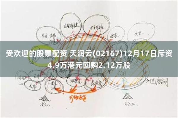 受欢迎的股票配资 天润云(02167)12月17日斥资4.9万港元回购2.12万股