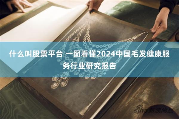 什么叫股票平台 一图看懂2024中国毛发健康服务行业研究报告