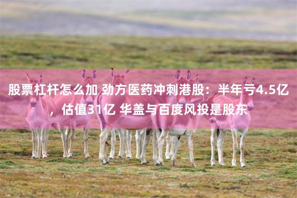 股票杠杆怎么加 劲方医药冲刺港股：半年亏4.5亿，估值31亿 华盖与百度风投是股东