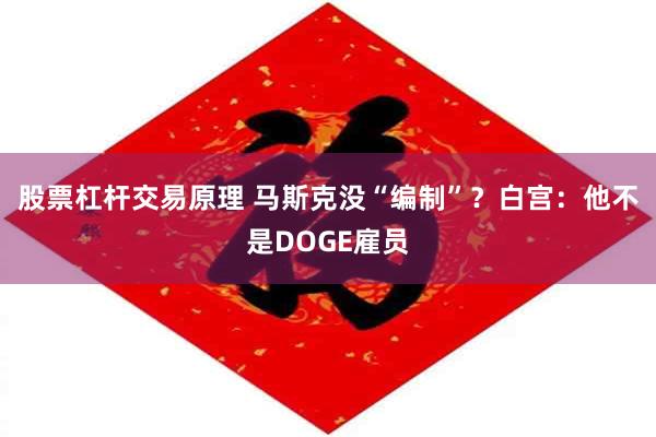 股票杠杆交易原理 马斯克没“编制”？白宫：他不是DOGE雇员